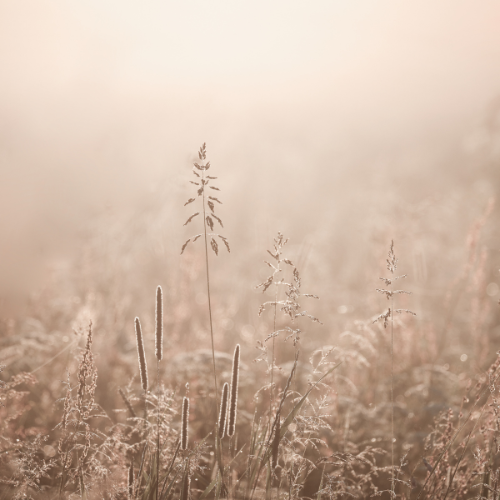 TENDOFORTE® – Starke Sehnen und Bänder für mehr Beweglichkeit