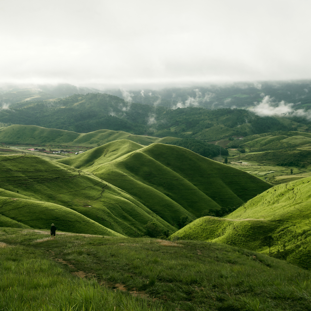 Multivitamin Komplex – Deine tägliche Komplettversorgung für Energie & Immunsystem