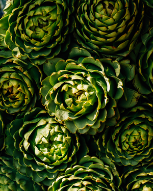 Nature Bundle